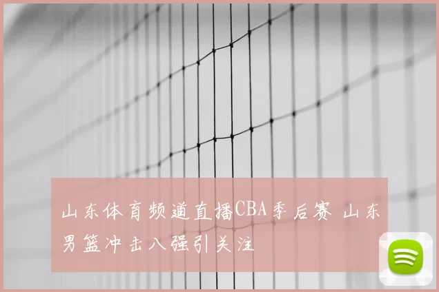 山东体育频道直播CBA季后赛 山东男篮冲击八强引关注